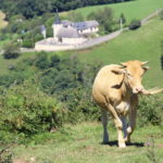 Balade vers le Castet de Lies