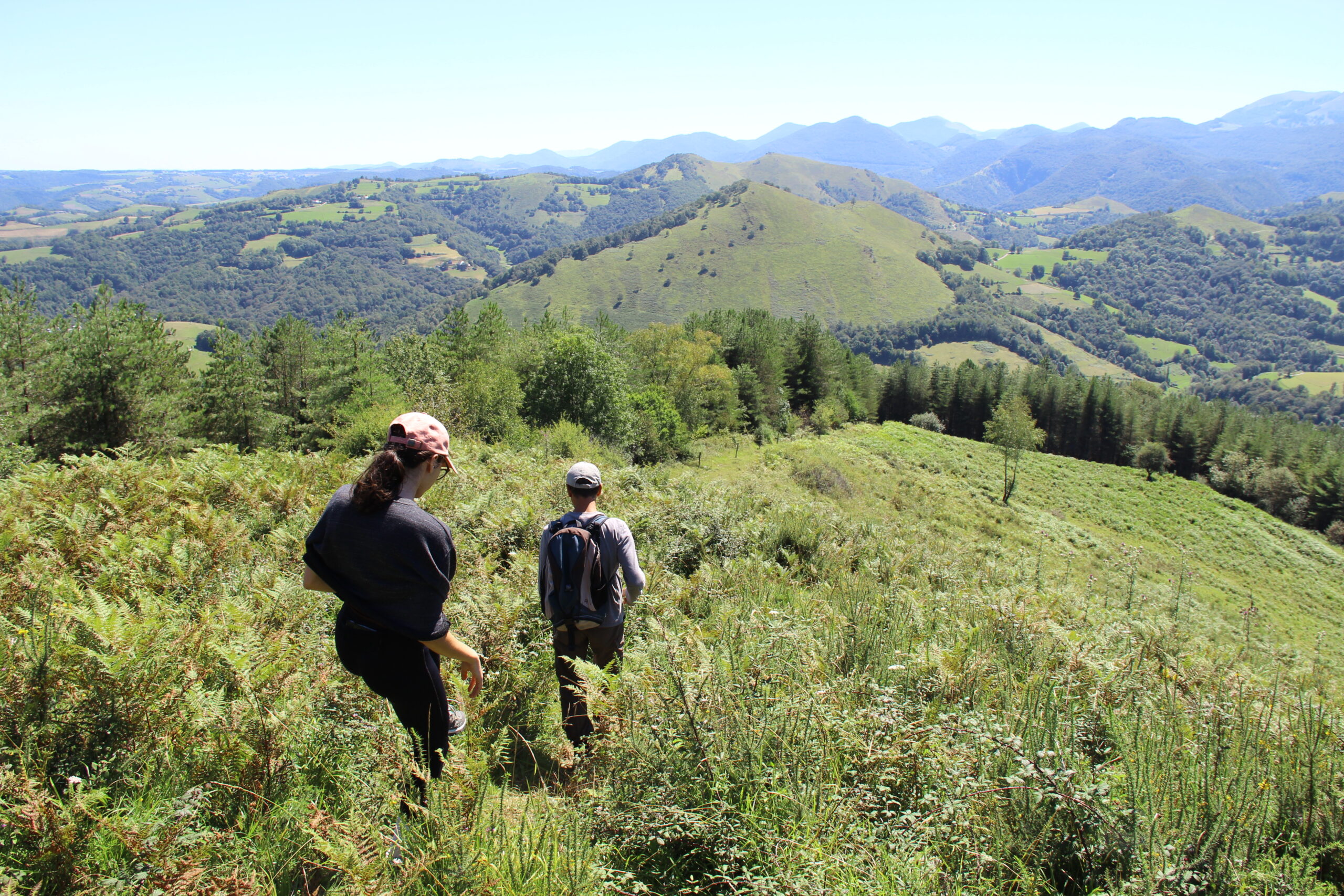 Natur und Wanderwege rund um Les Granges de la Hulotte in den französischen Pyrenäen