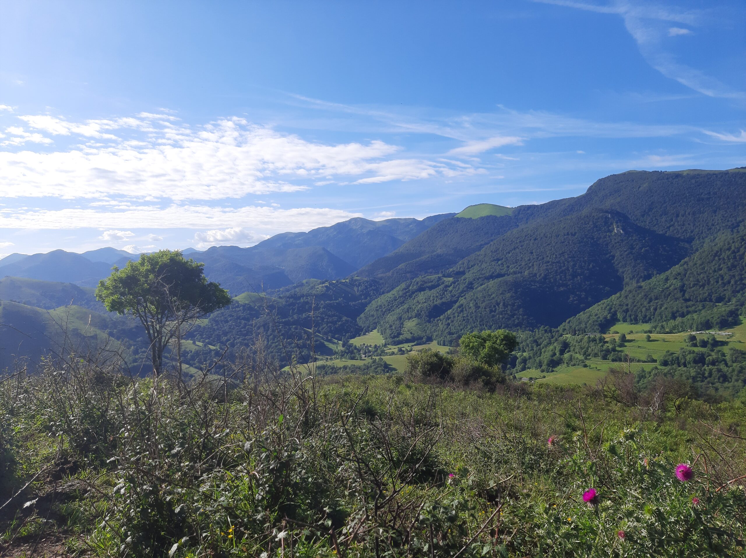 Landschaft der französischen Pyrenäen rund um Les Granges de la Hulotte