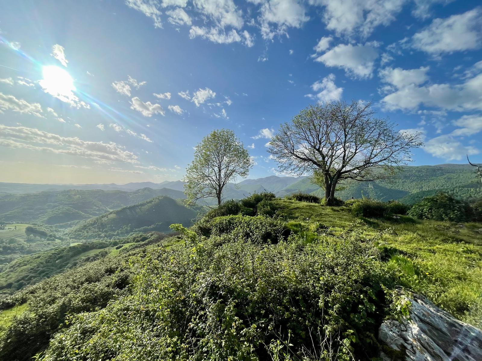 Natur und Berge rund um Les Granges de la Hulotte in den Pyrenäen