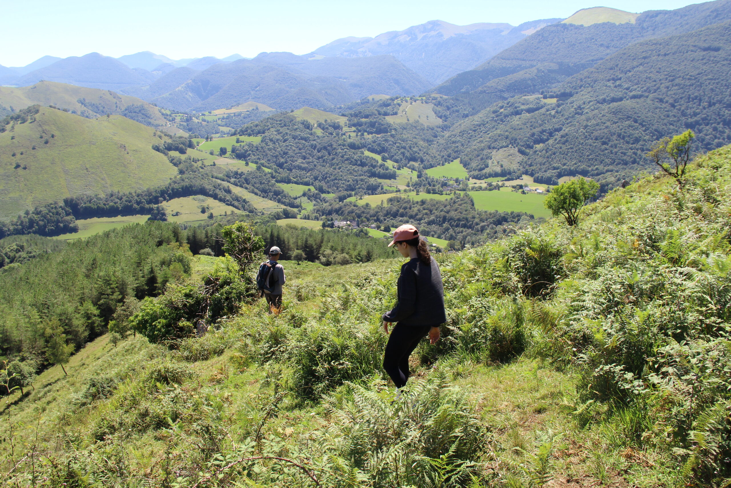 Sentier dans la nature près des Granges de la Hulotte dans les Hautes-Pyrénées