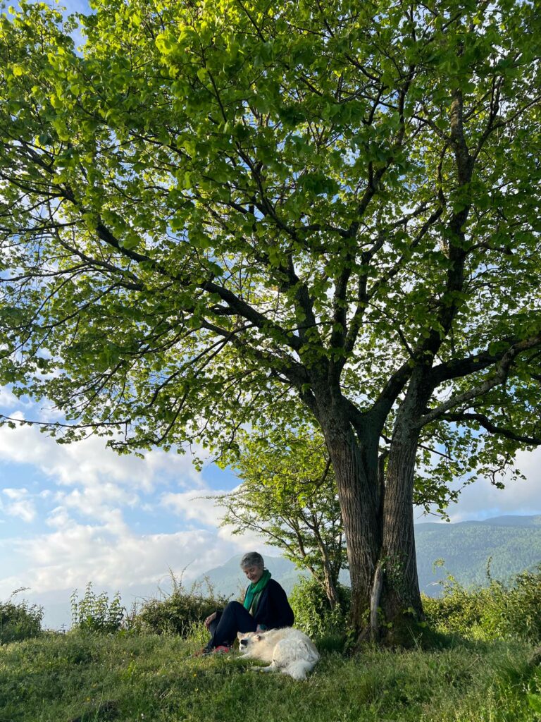 Ruhe und Natur während einer Auszeit in den französischen Pyrenäen