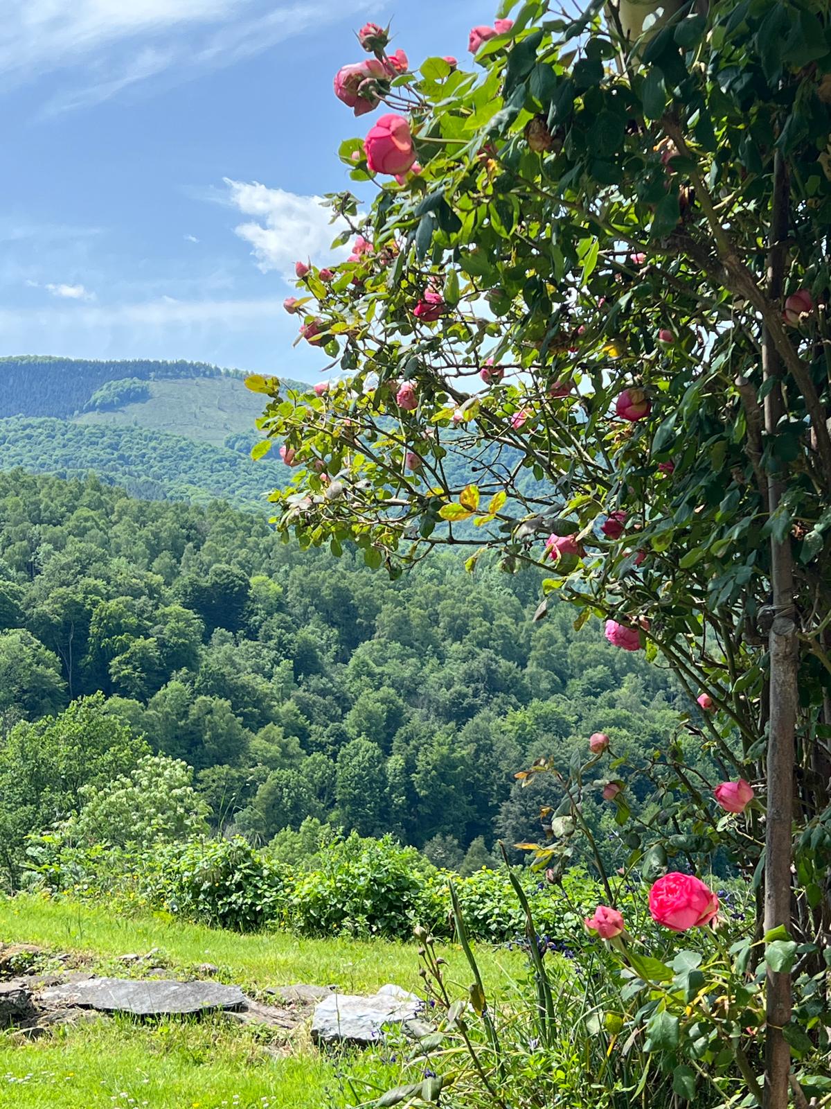 Frühling in den französischen Pyrenäen rund um Les Granges de la Hulotte